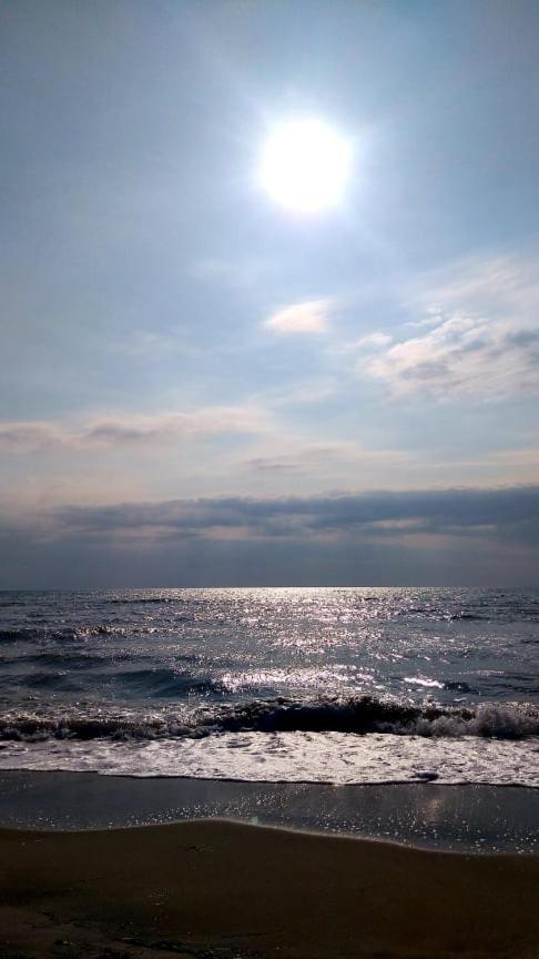 Alenstudios Paralía Dış mekan fotoğraf