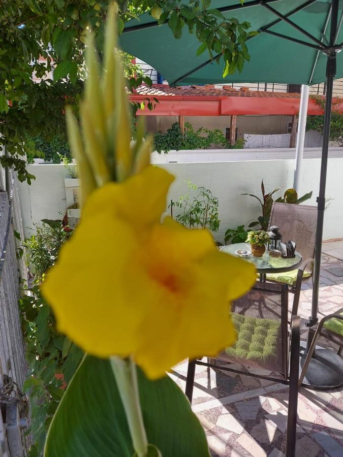 Alenstudios Paralía Dış mekan fotoğraf