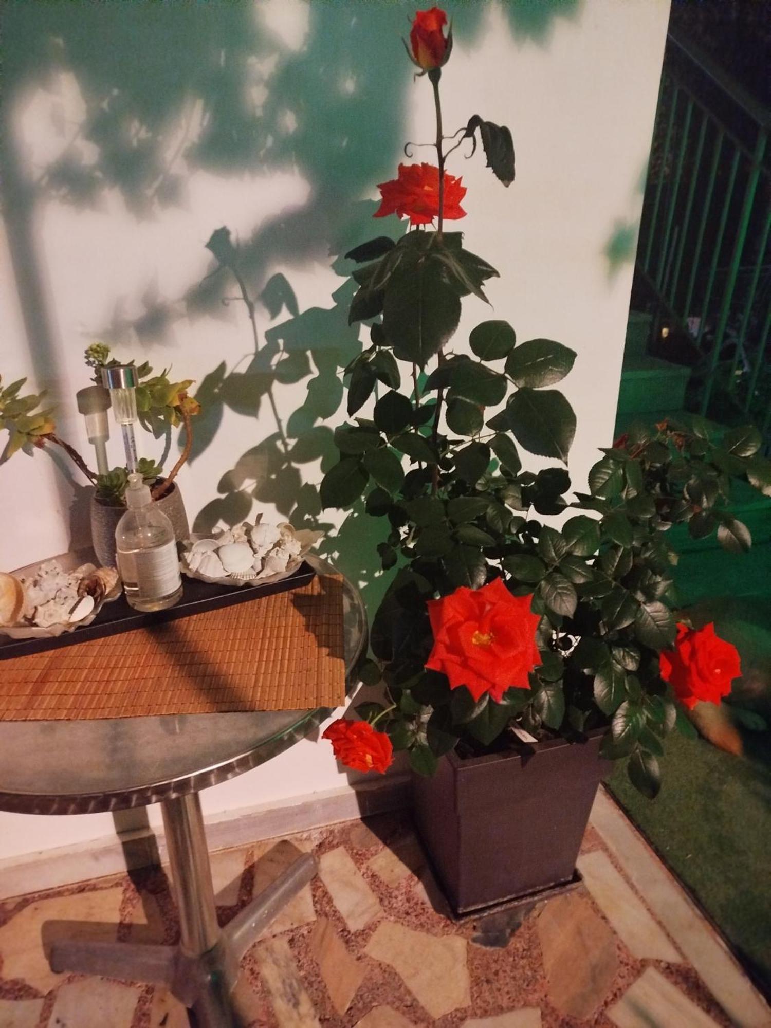 Alenstudios Paralía Dış mekan fotoğraf